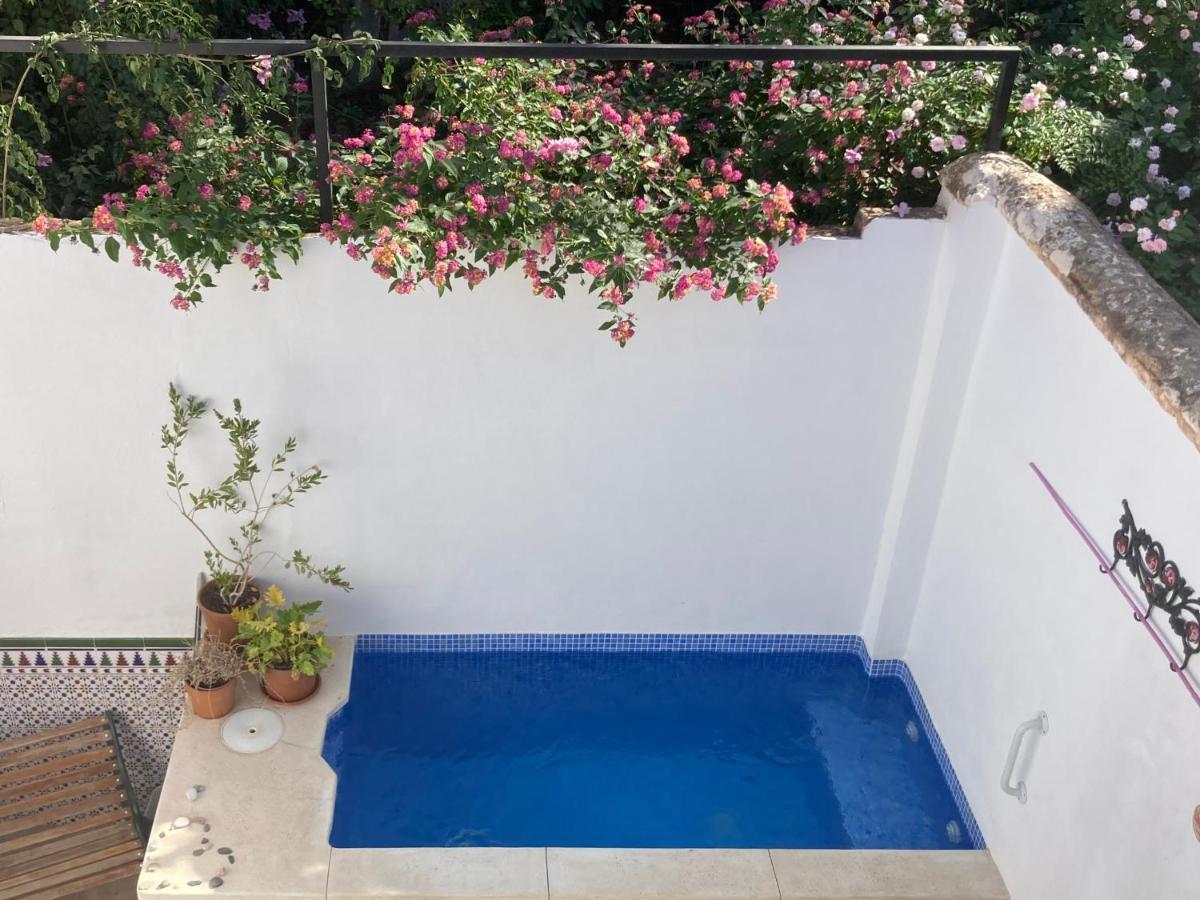 דירות מאלגה Casa Clemente 32, Private House With Plunge Pool מראה חיצוני תמונה