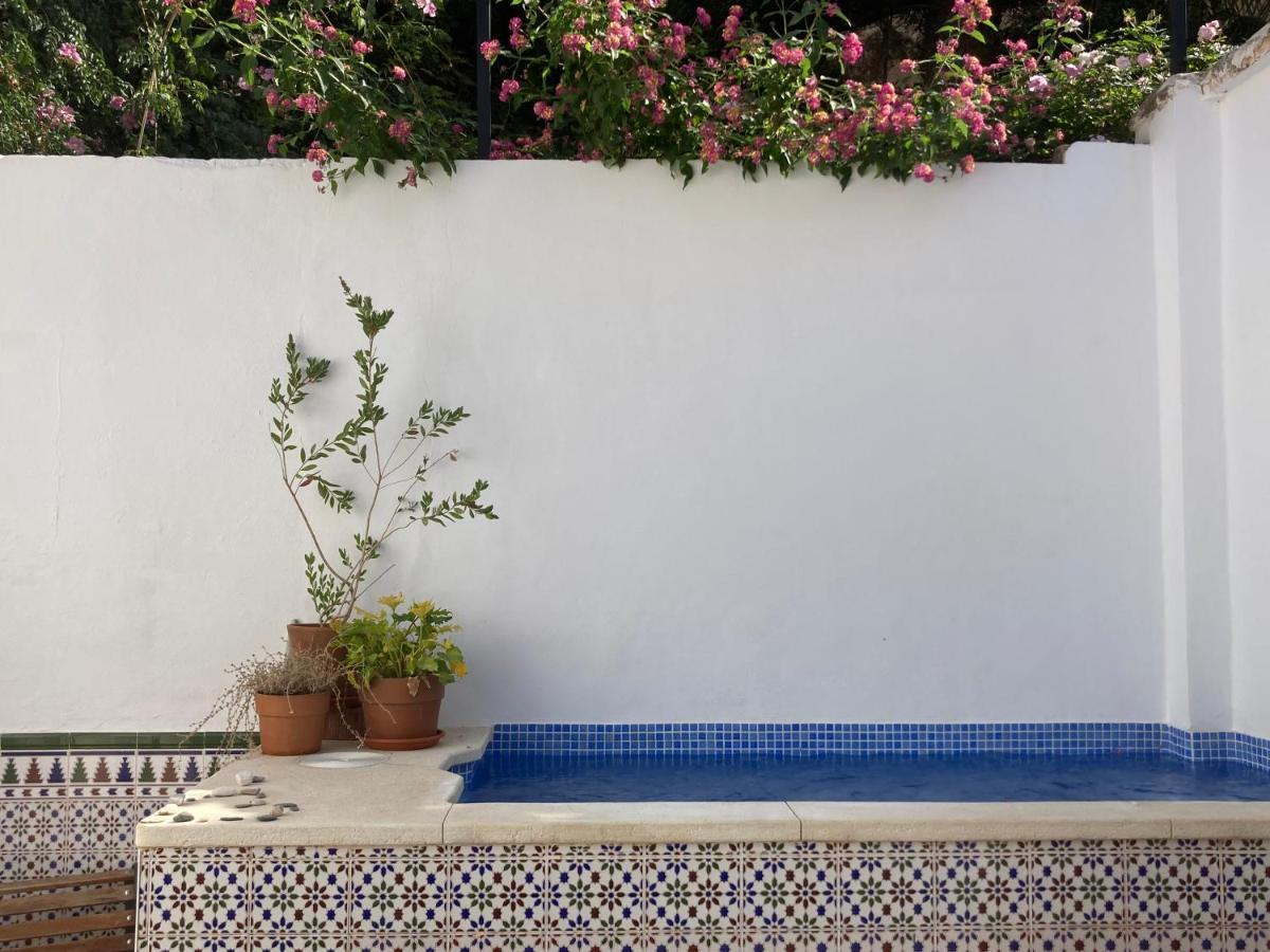 דירות מאלגה Casa Clemente 32, Private House With Plunge Pool מראה חיצוני תמונה